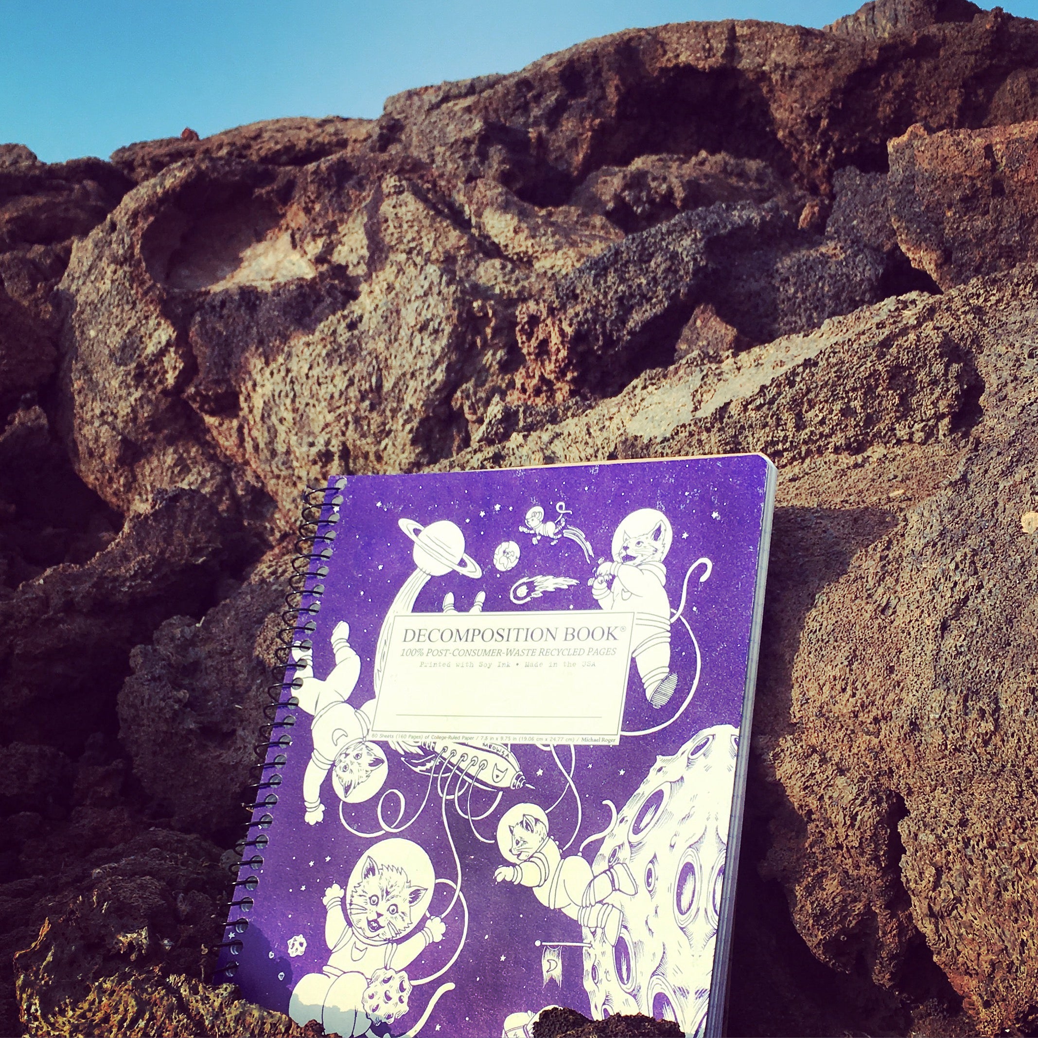 Spiral notebook printed with astronaut kittens in blue