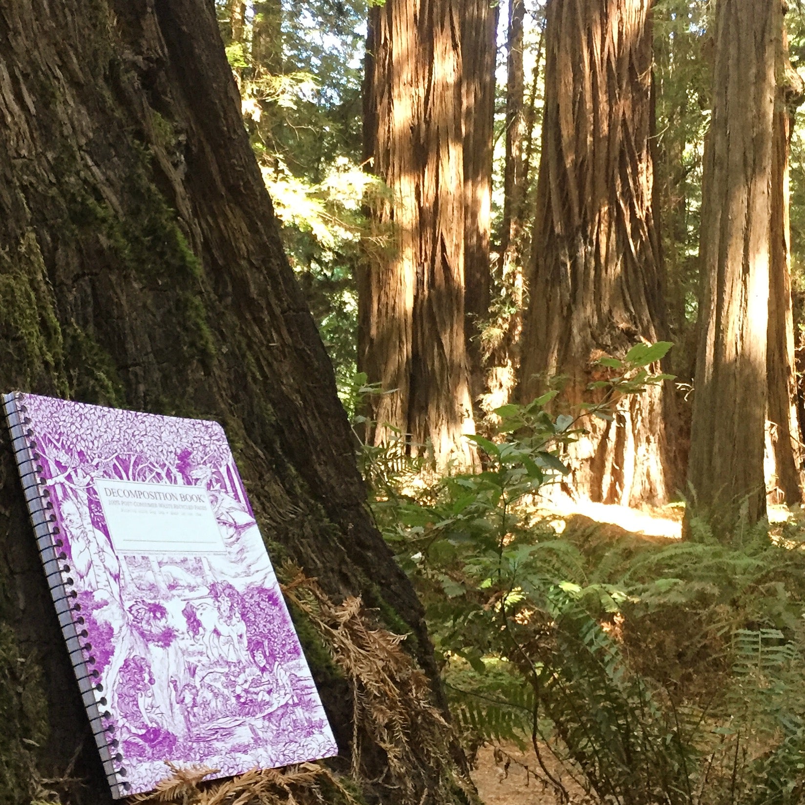 Spiral notebook printed with mythical creatures gathered in a forest