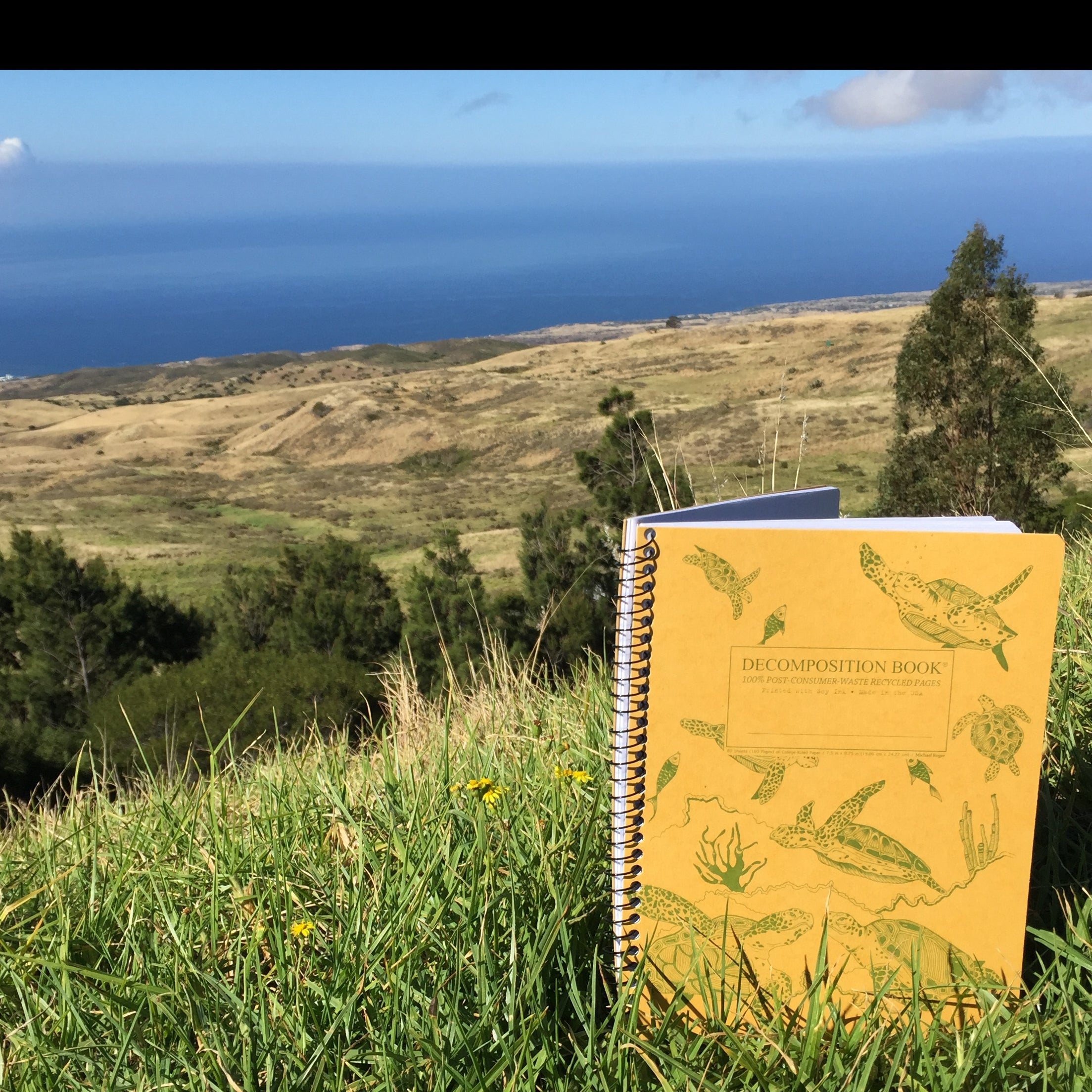 Spiral notebook printed with green turtles on yellow