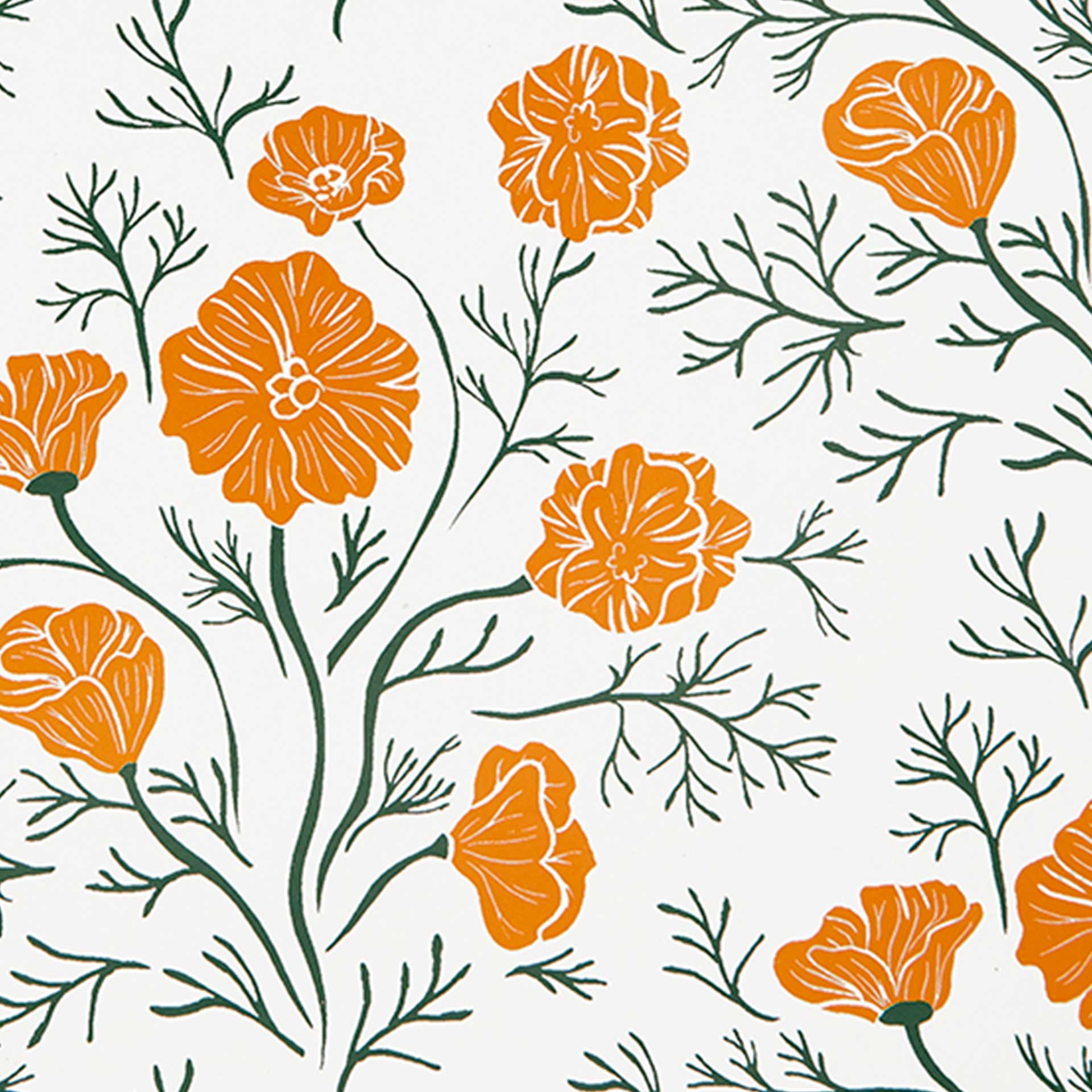 Closeup of a pattern of bright orange flowers