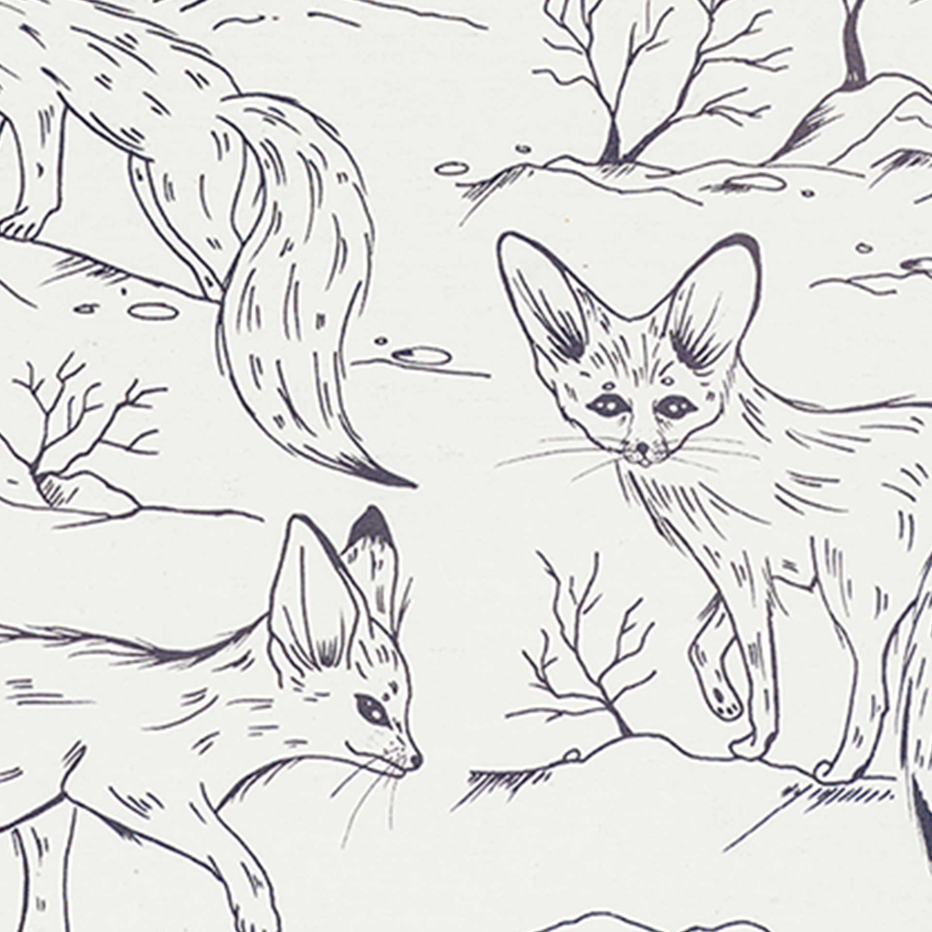 Closeup of cute foxes