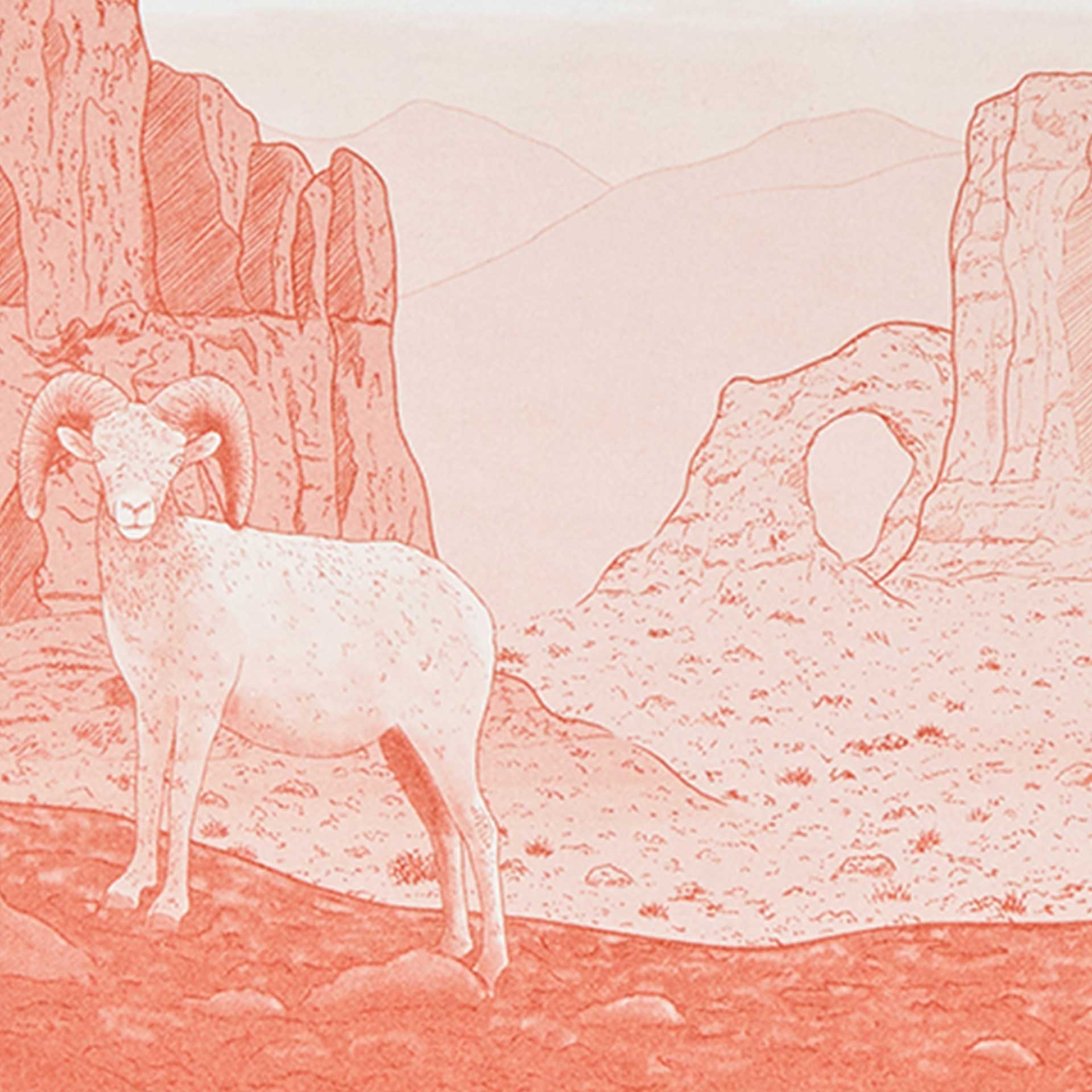 Closeup of a desert scene printed in orange