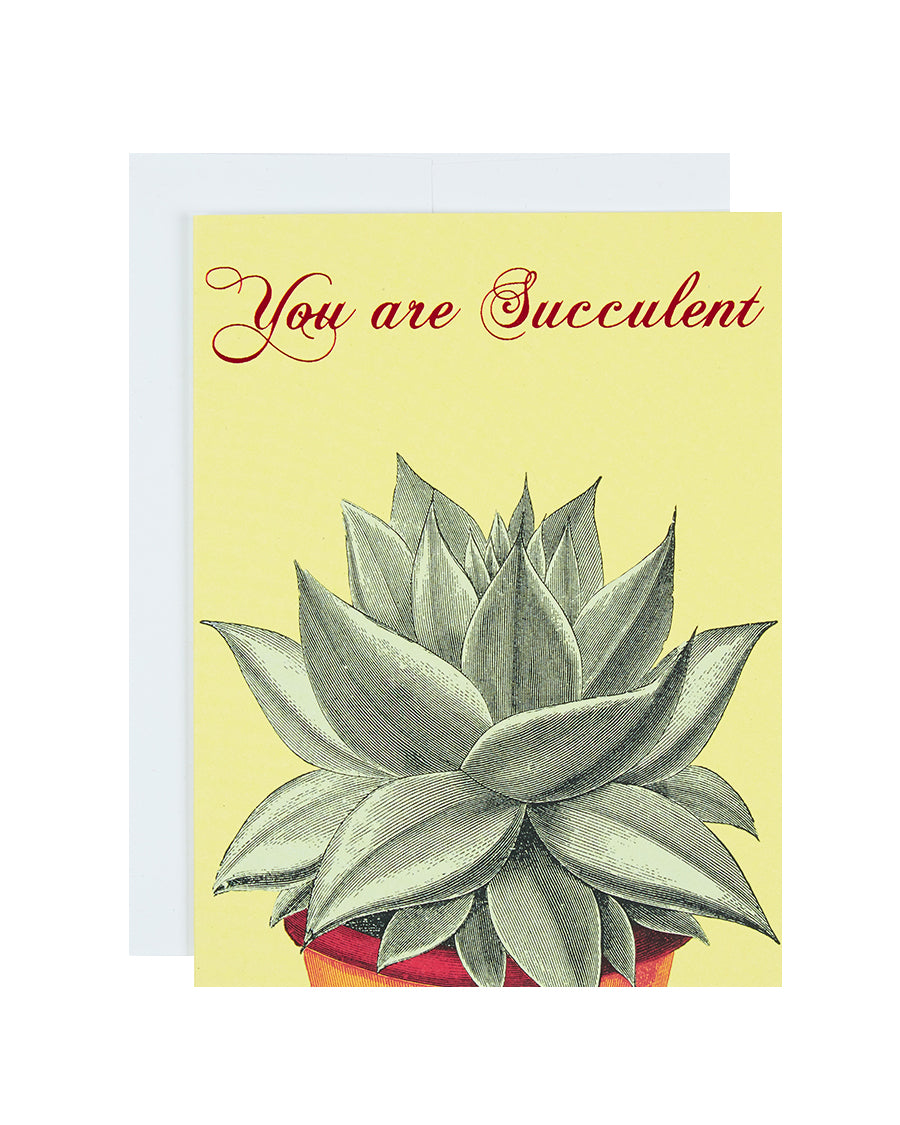 succulent greeting cards Love