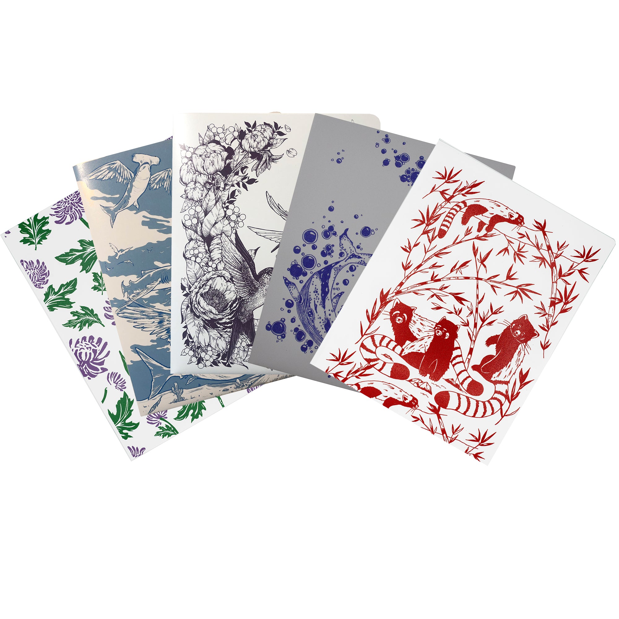 Decomposition Folder 5-Pack