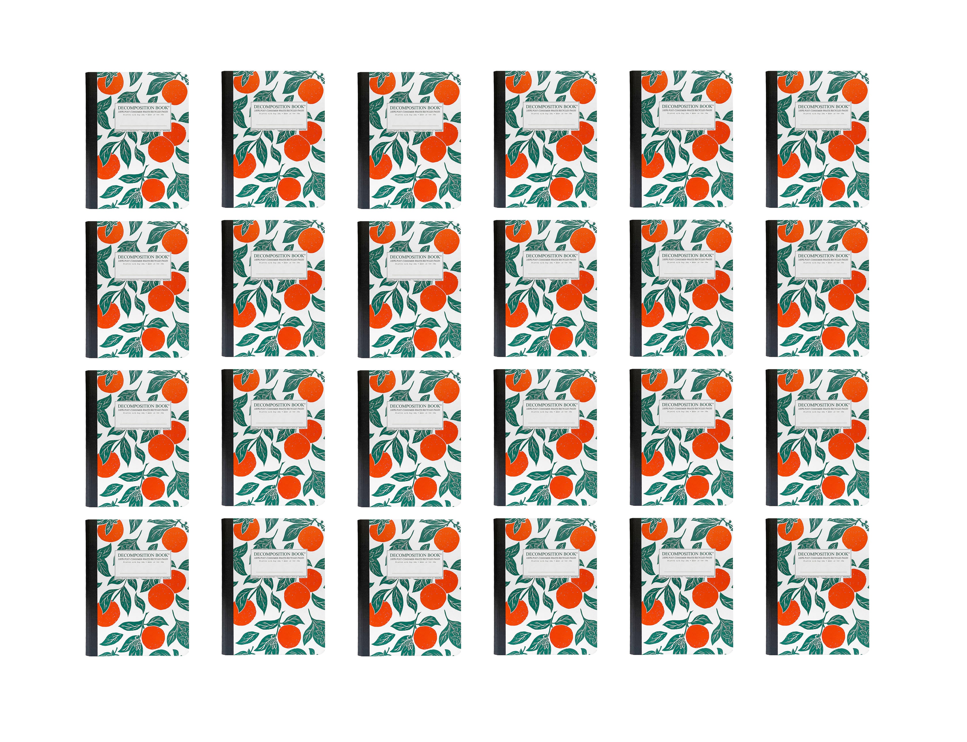24 Large Sewn Oranges Decomposition Books