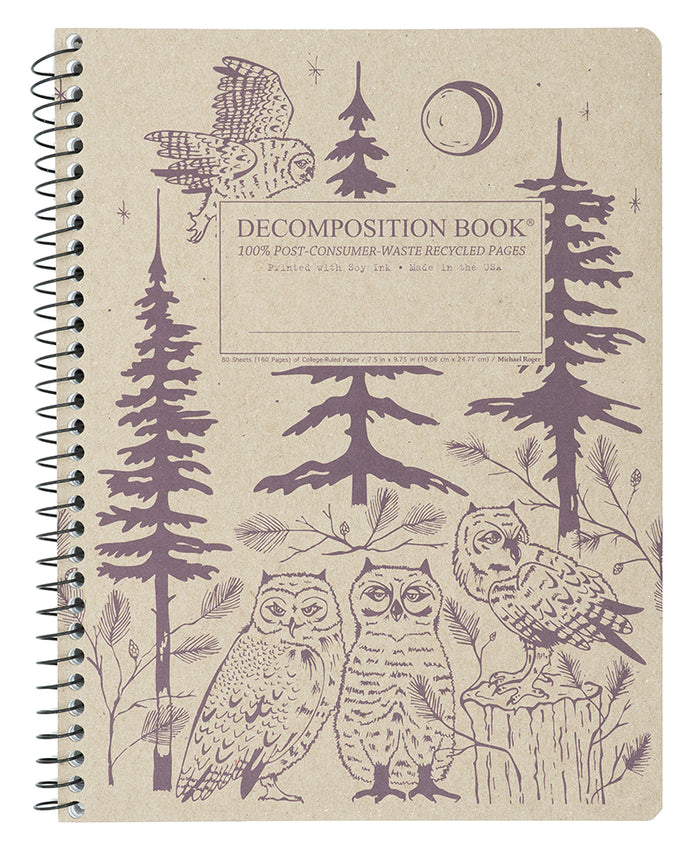 Baby Great Horned Owls Decomposition Book
