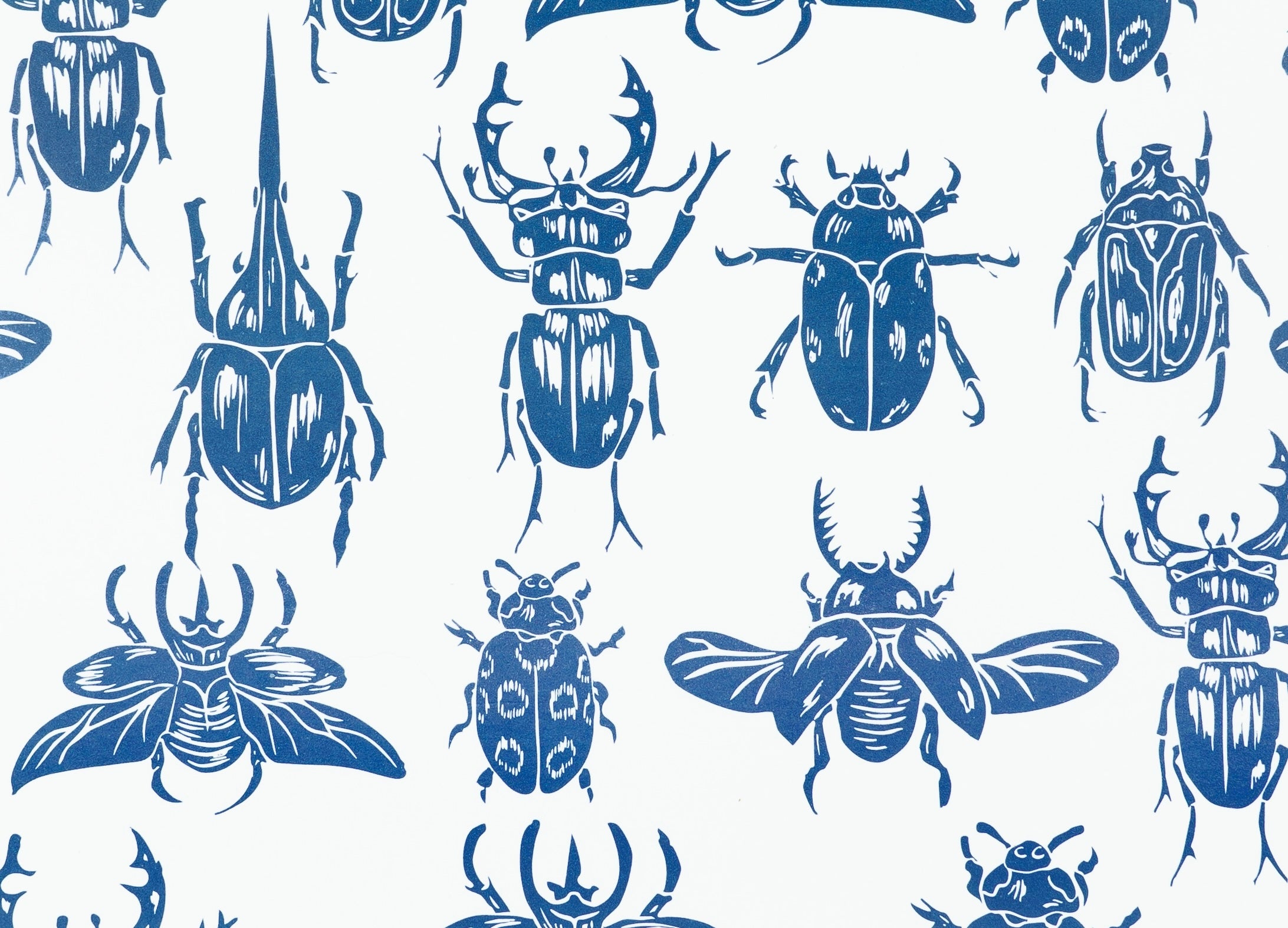 Beetles Decomposition Book