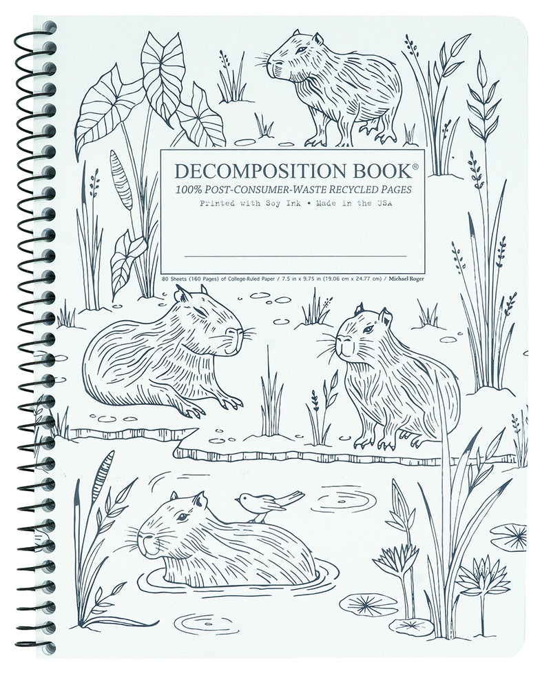 Capybaras Decomposition Book