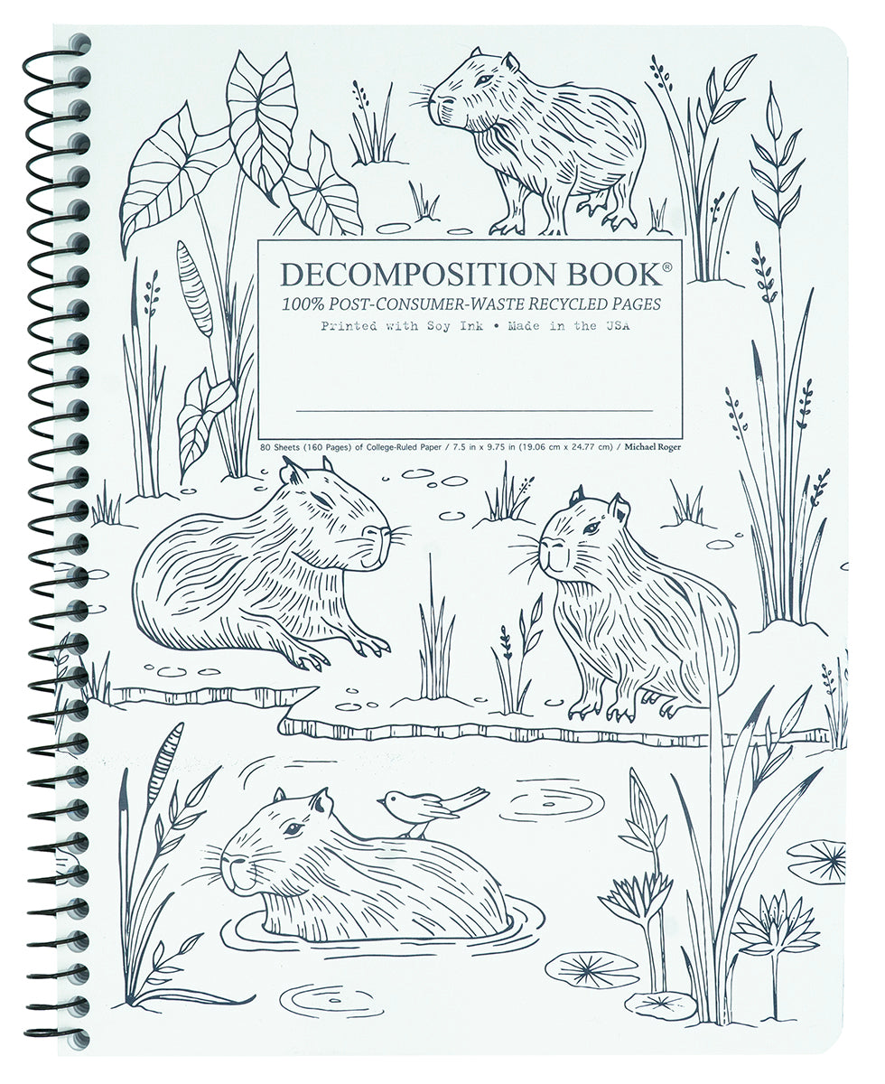 Capybaras Decomposition Book