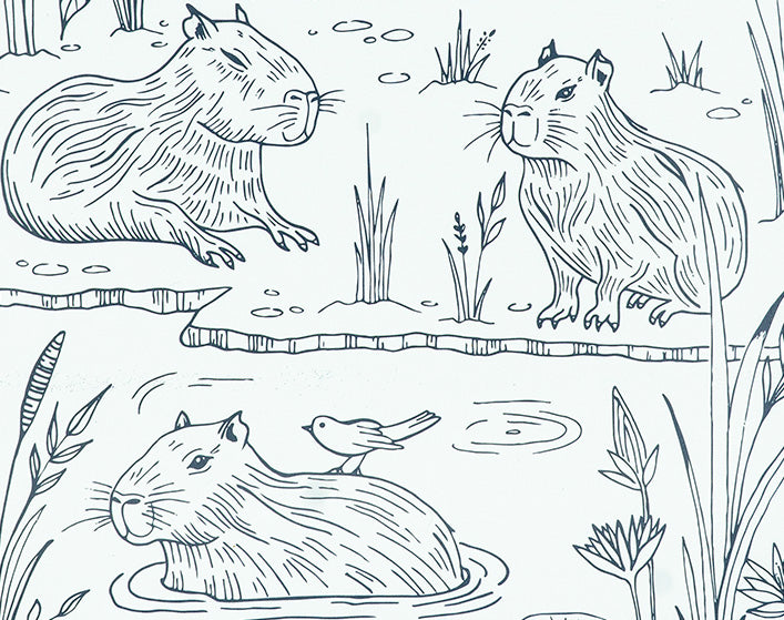 Capybaras Decomposition Book