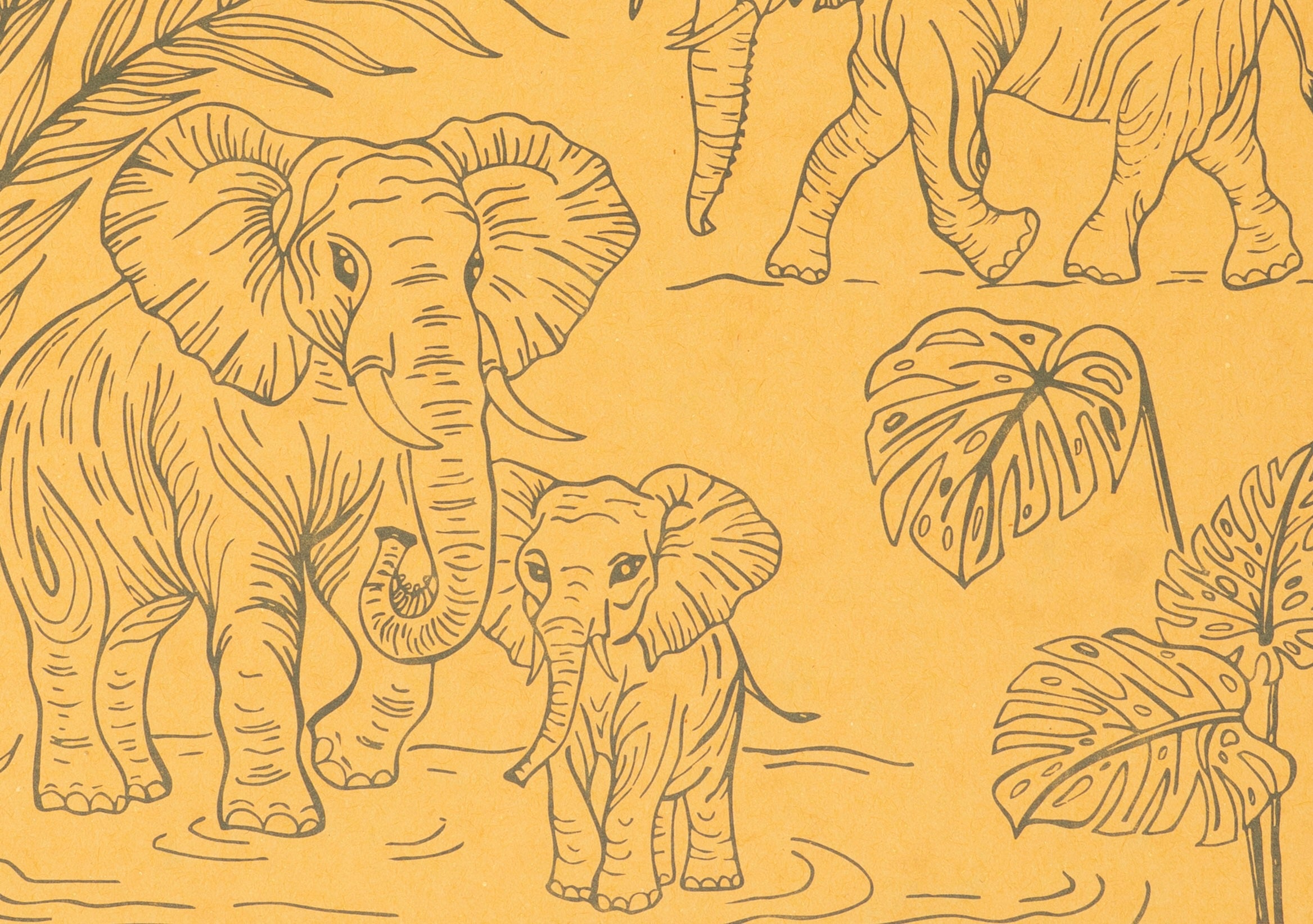 Elephants Decomposition Book