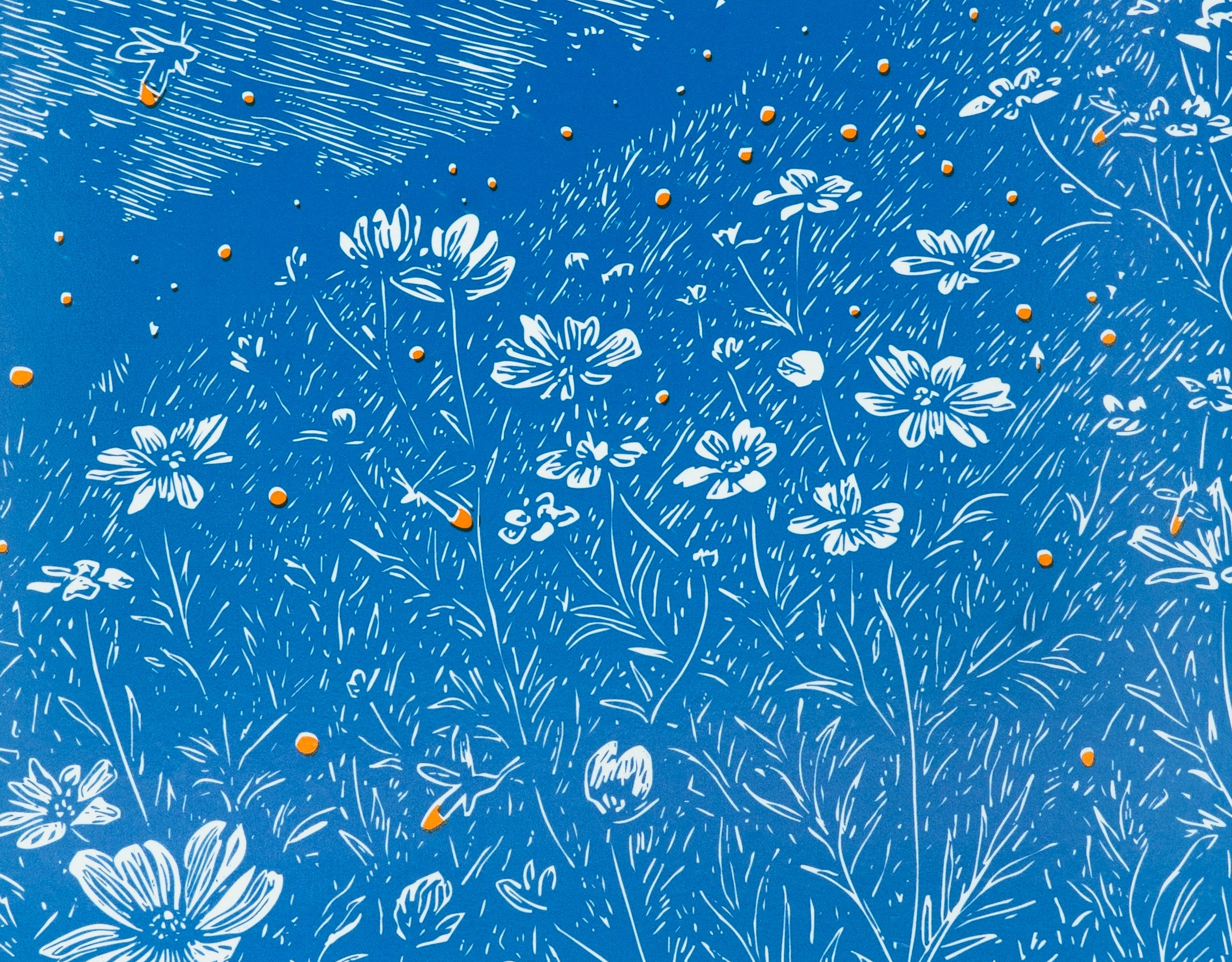 Fireflies Decomposition Book