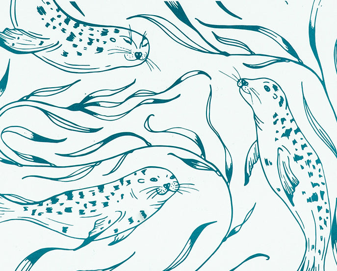 Harbor Seals Decomposition Book