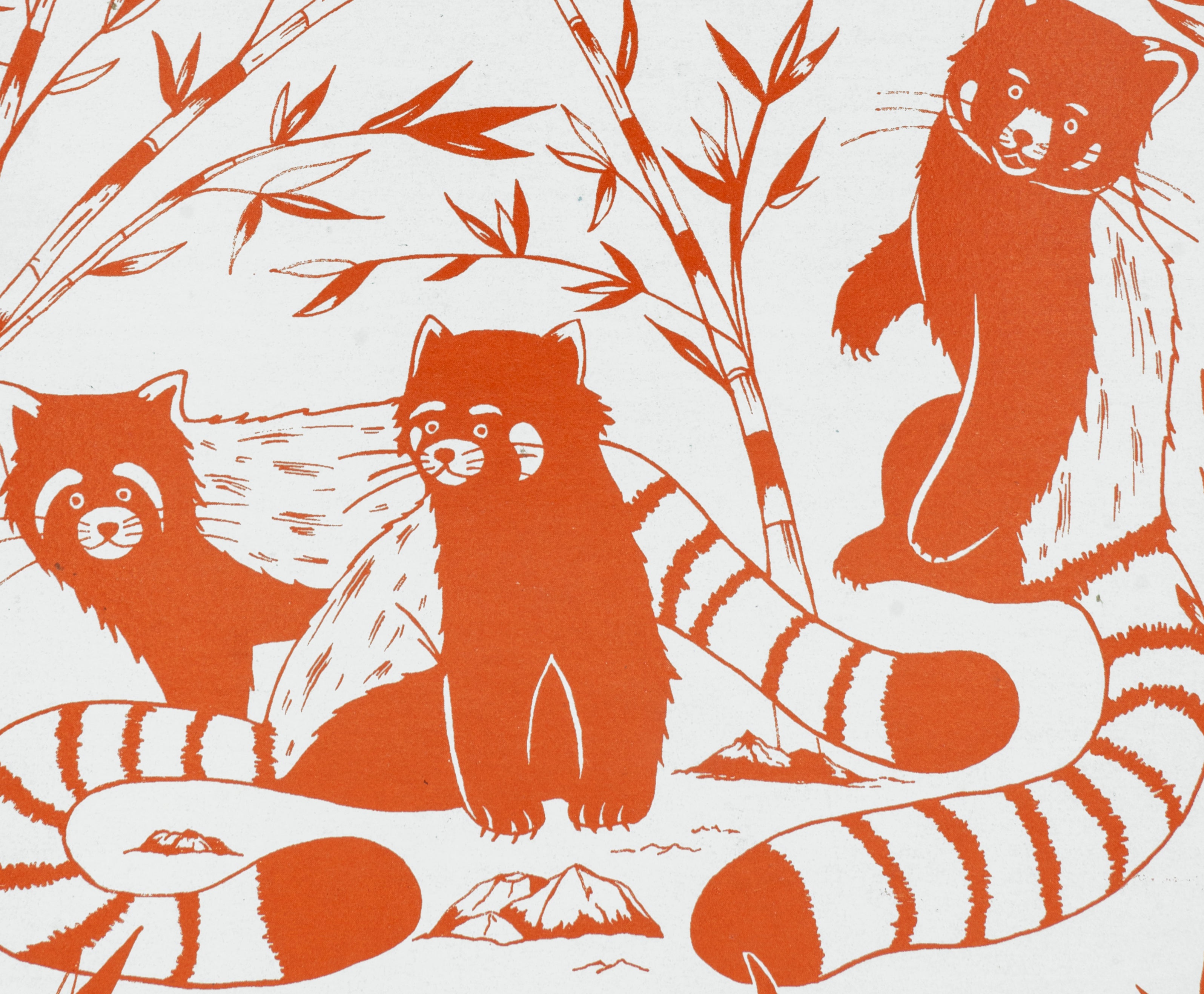 Red Pandas Decomposition Book