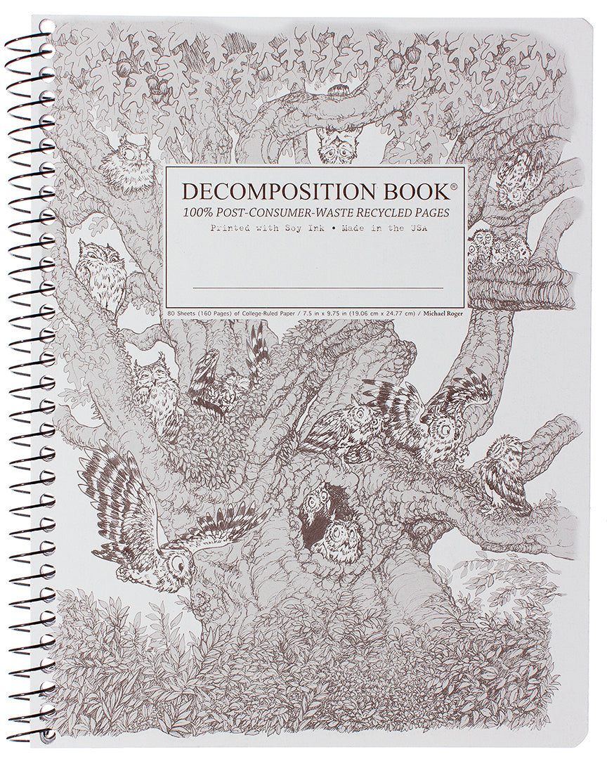 Screech Owls Decomposition Book