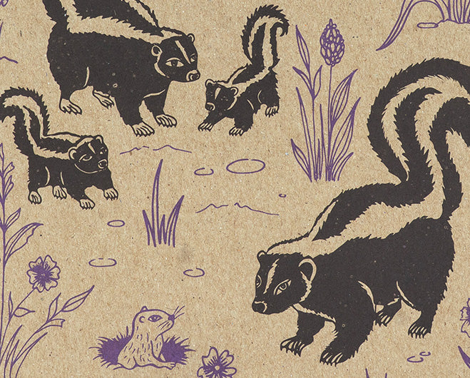 Skunks Decomposition Book