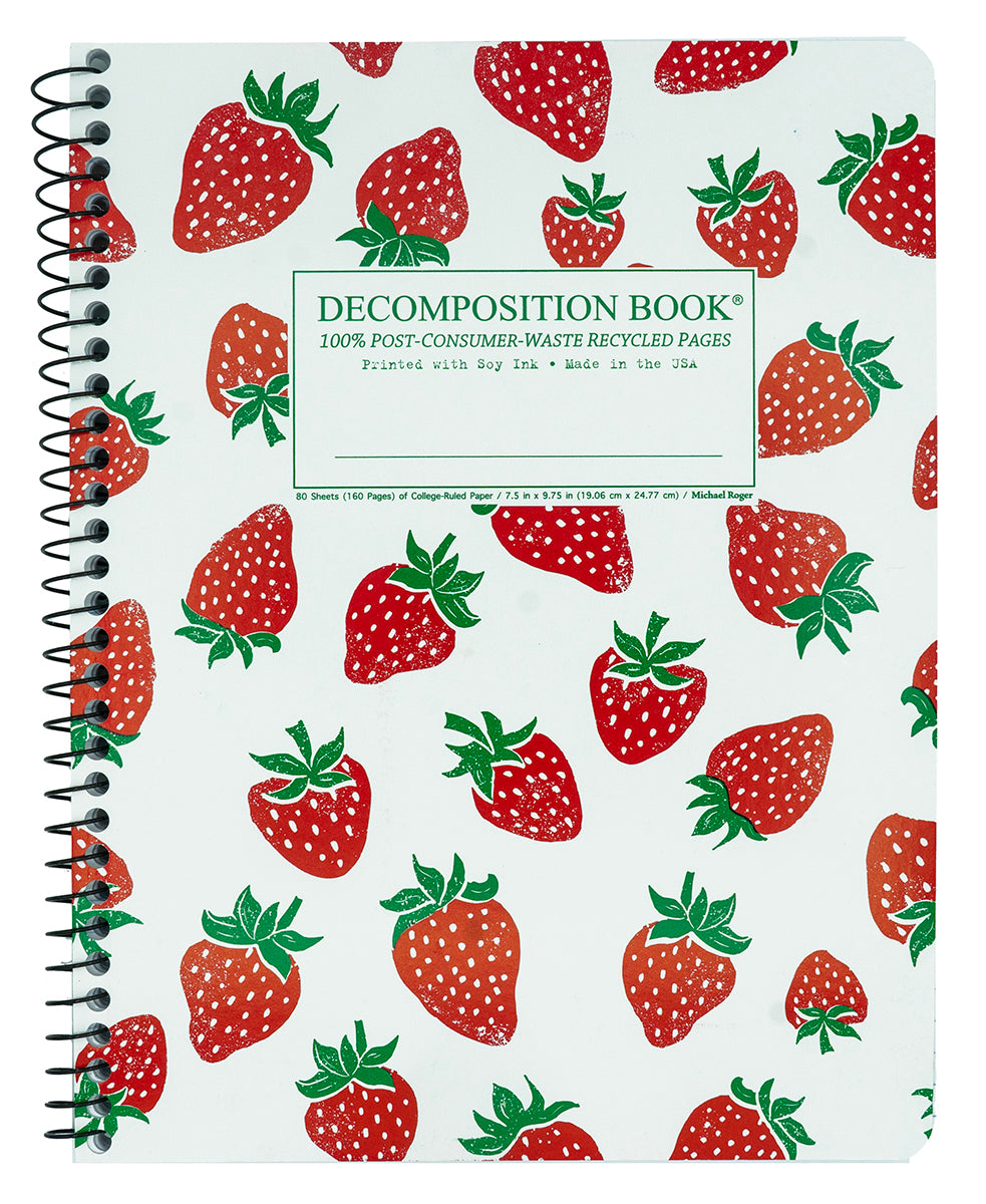 Strawberries Decomposition Book
