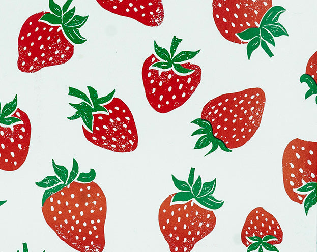Strawberries Decomposition Book