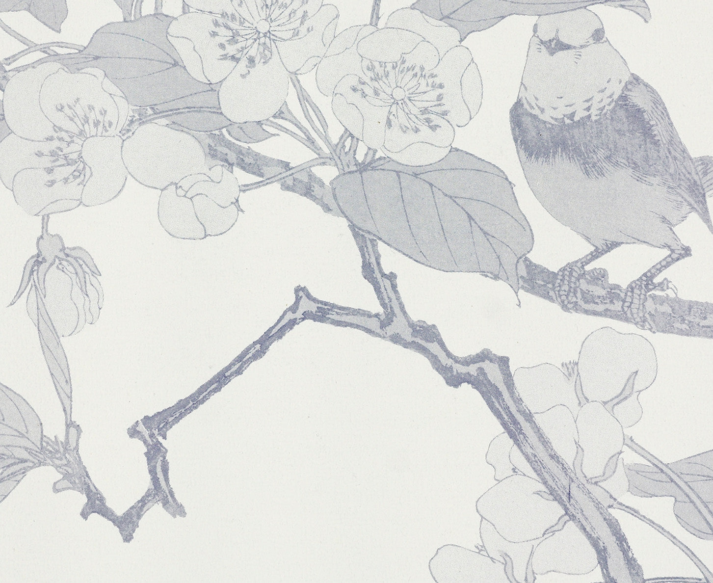 Sweet Pear Tree Decomposition Book (Blank Pages)