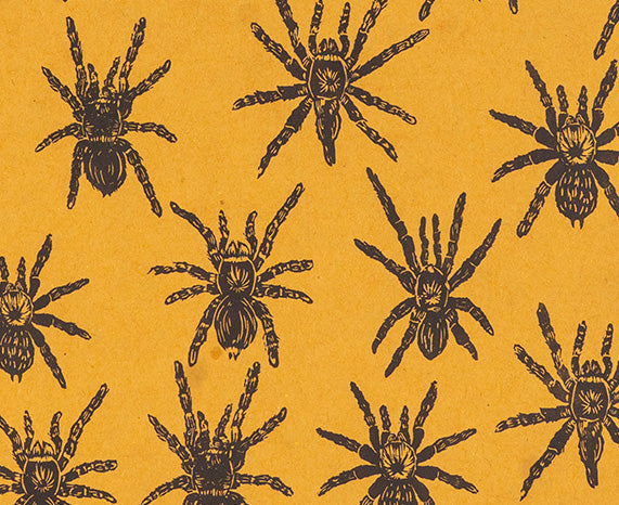 Tarantulas Decomposition Book