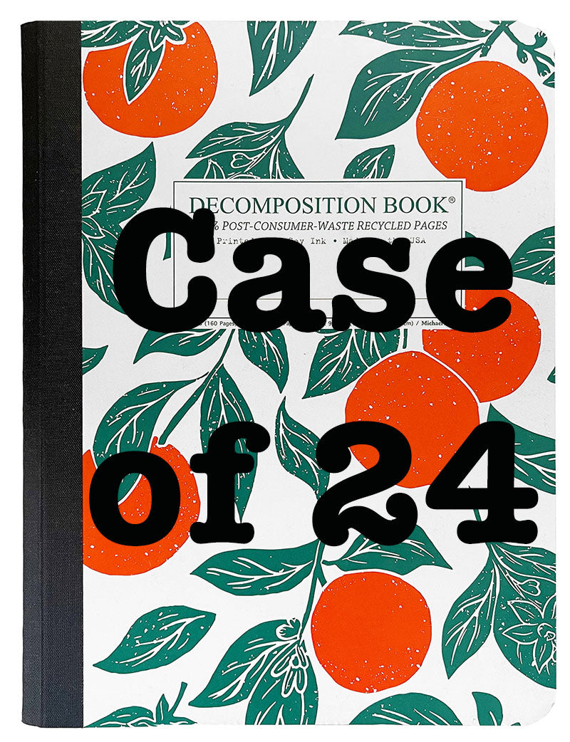24 Large Sewn Oranges Decomposition Books