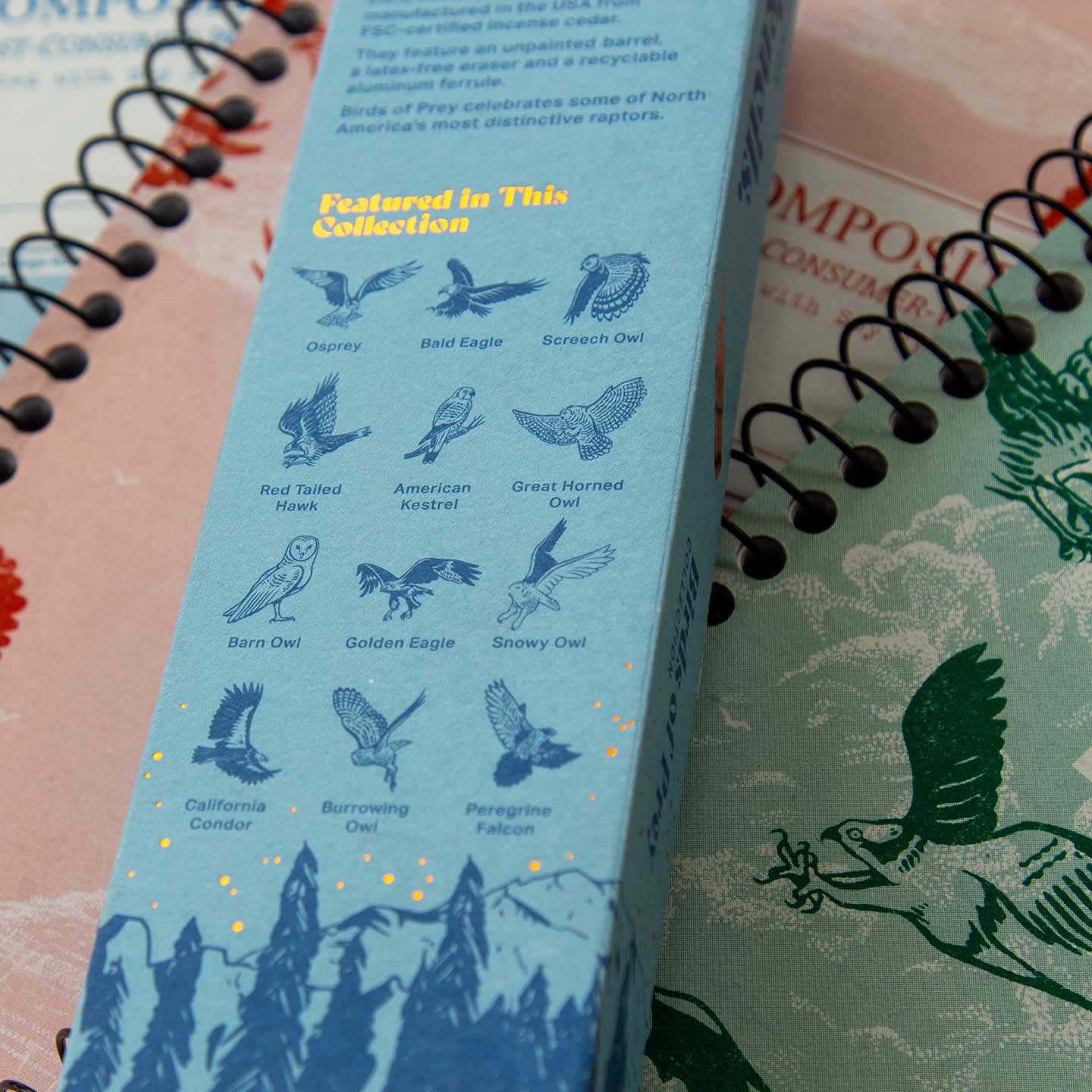 Birds of Prey Gift Set: Three Notebooks & a Dozen Pencils