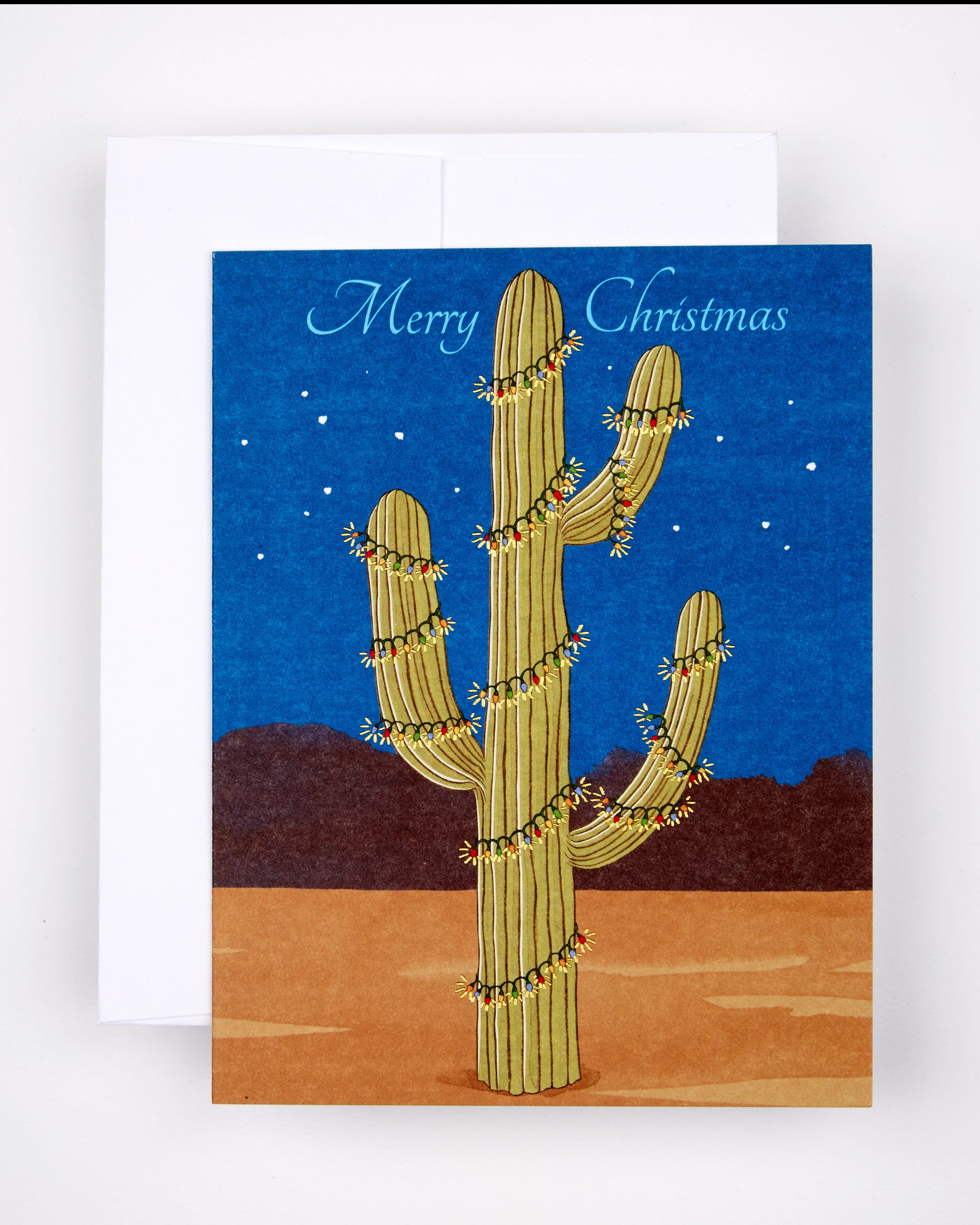 Holiday | Christmas Cactus