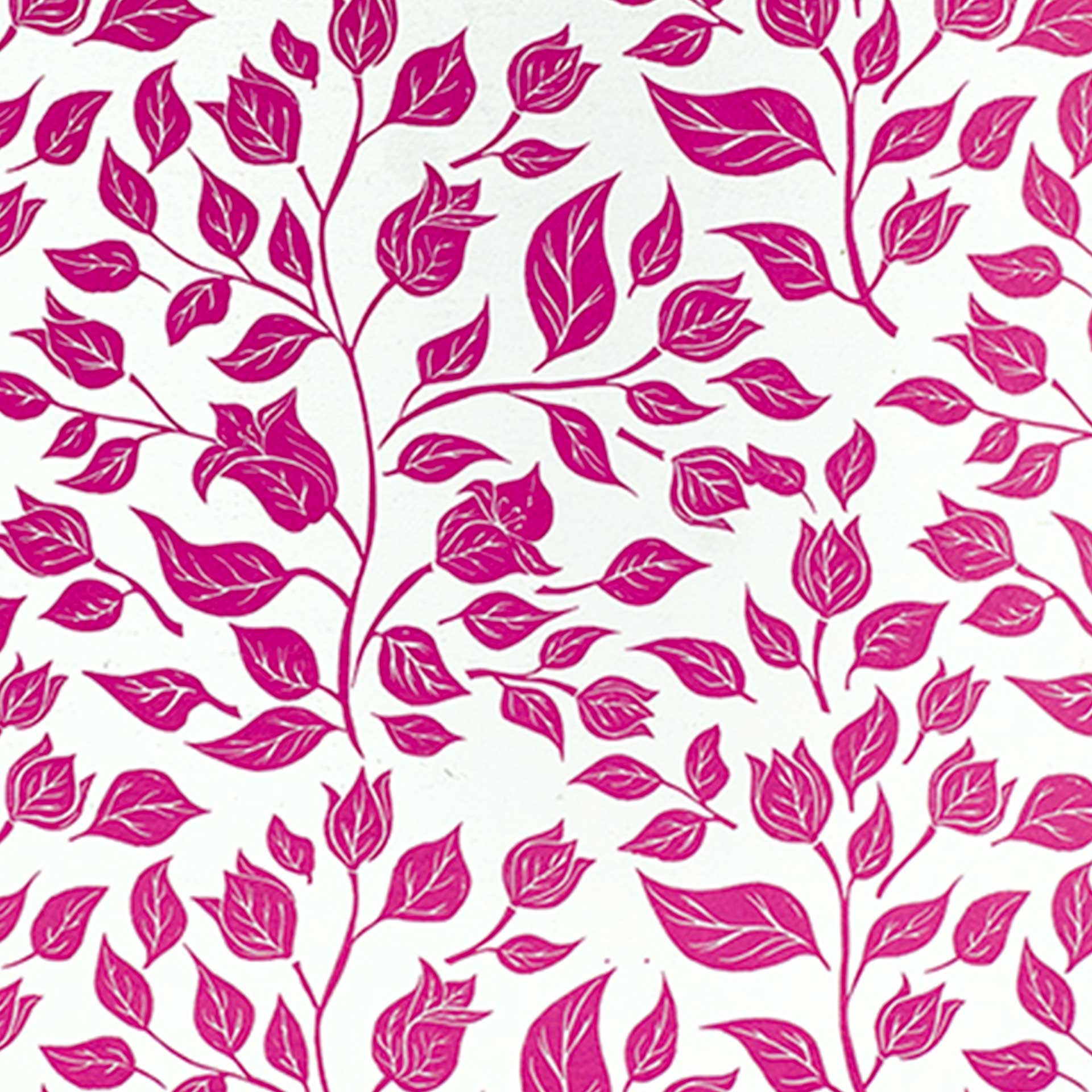 Bougainvillea Decomposition Book