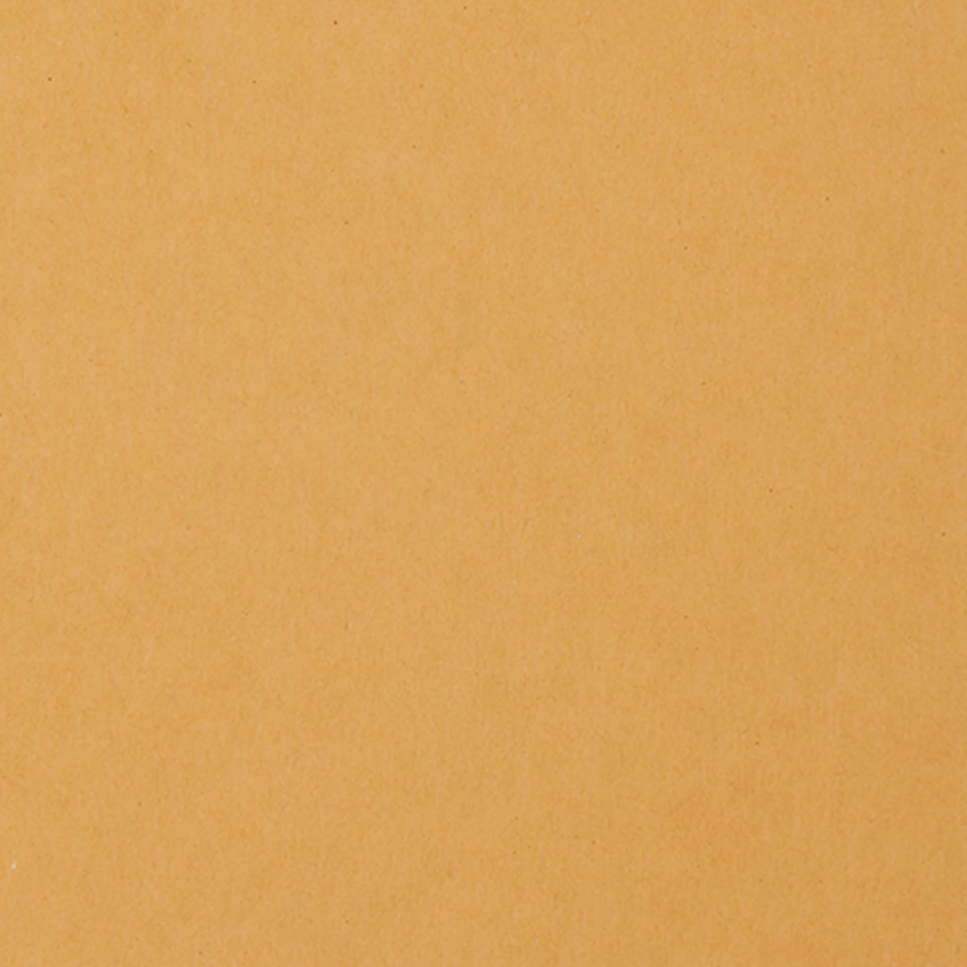 Closeup of a tan book cover