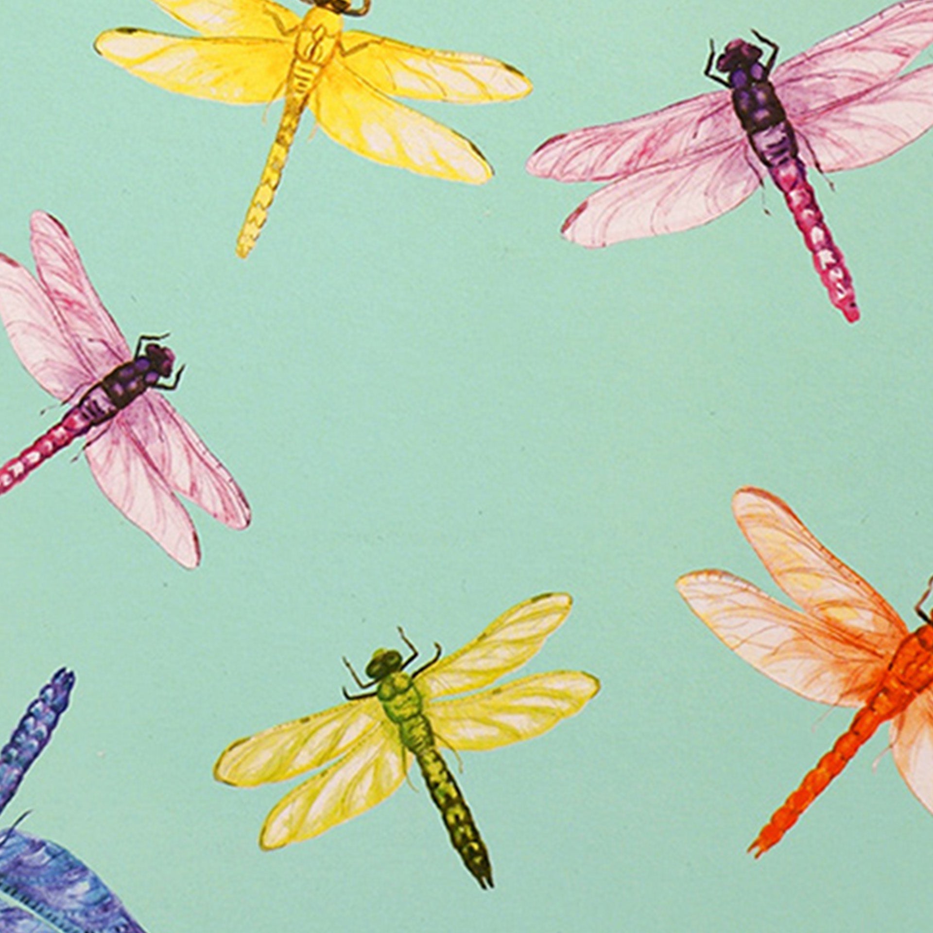Closeup of vibrantly colorful dragonflies