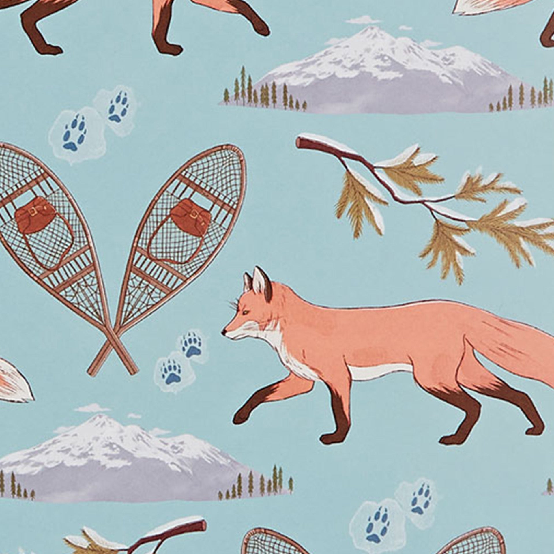 Closeup of foxes and snowshoes on blue