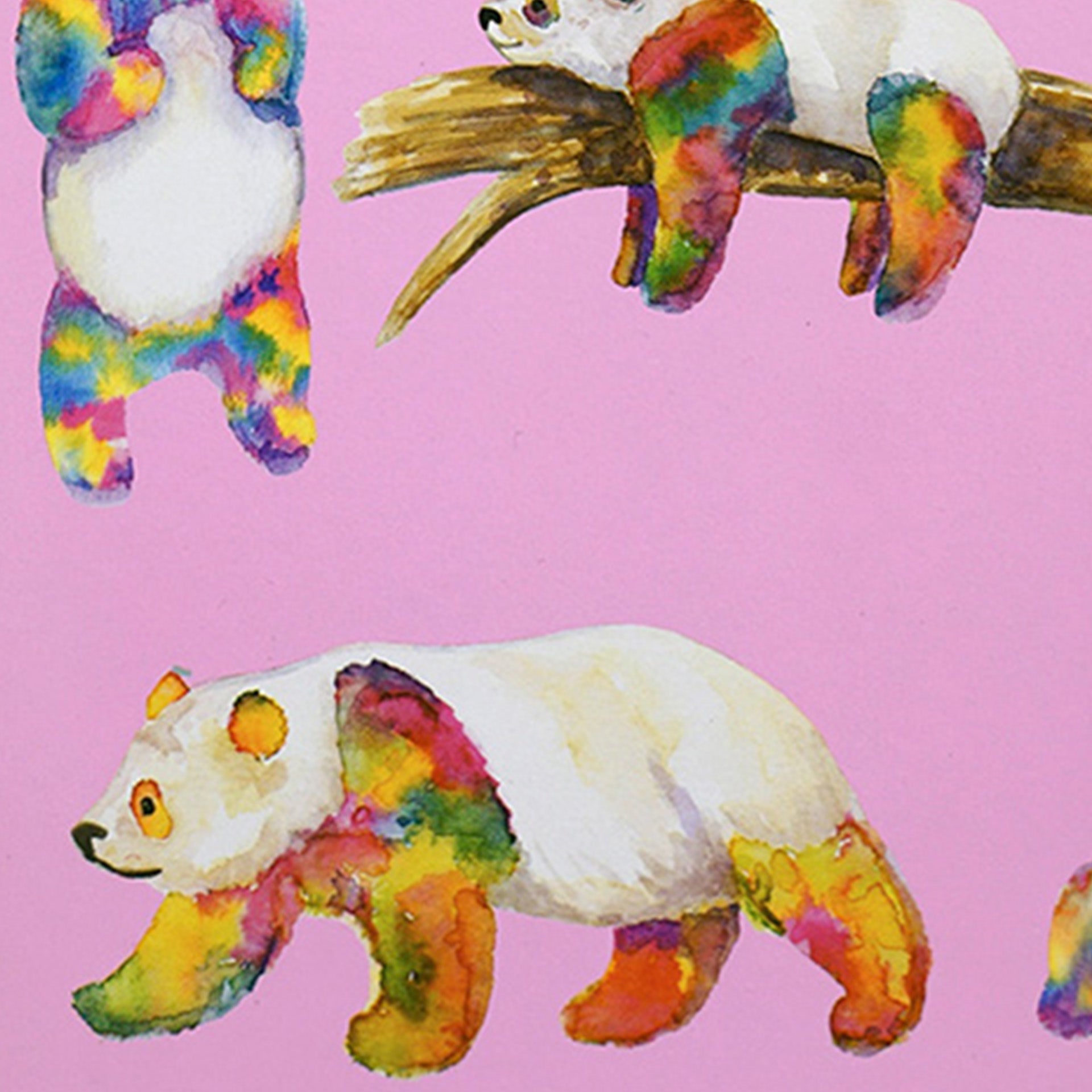 Closeup of rainbow-colored pandas on pink