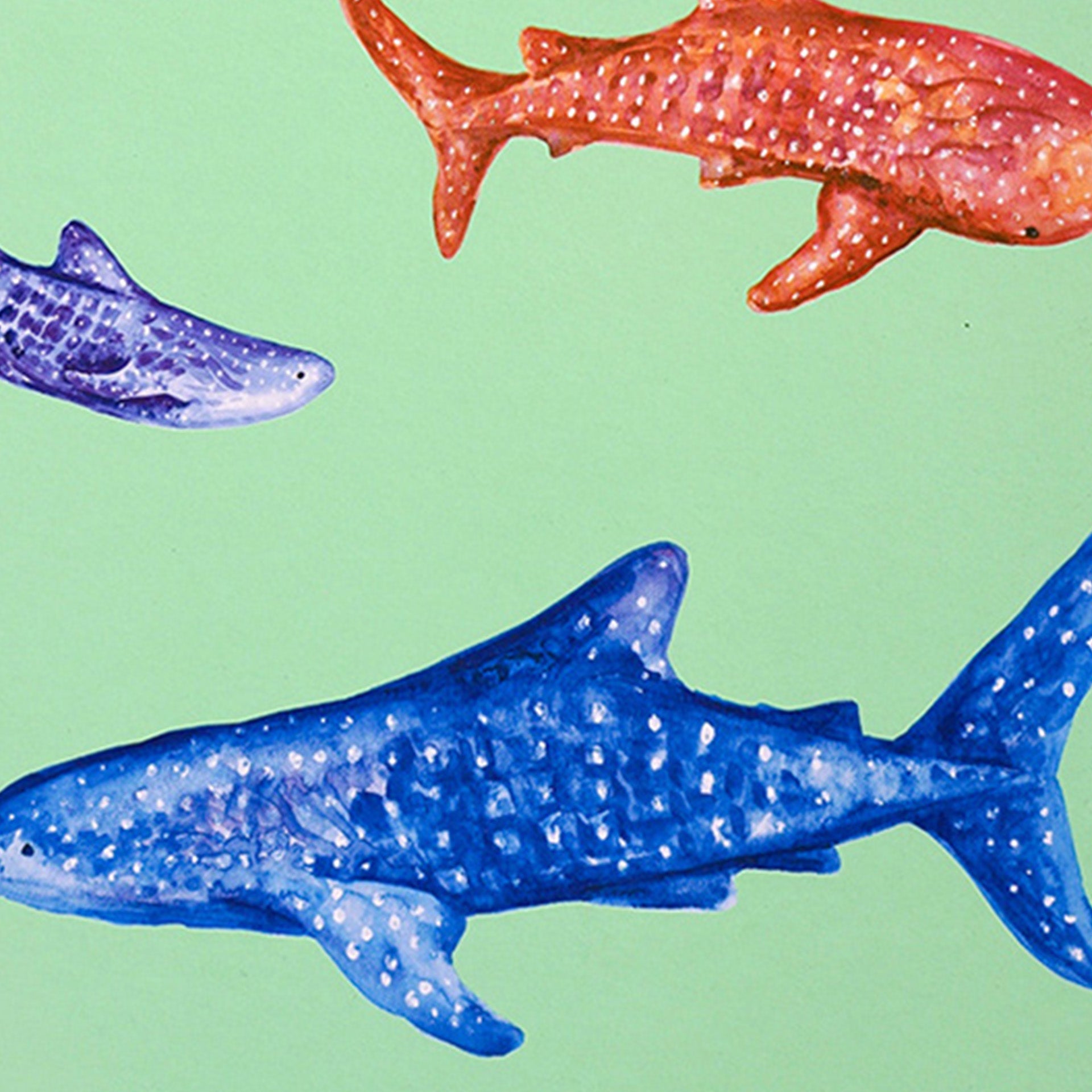 Closeup of colorful whale shark illustrations on green