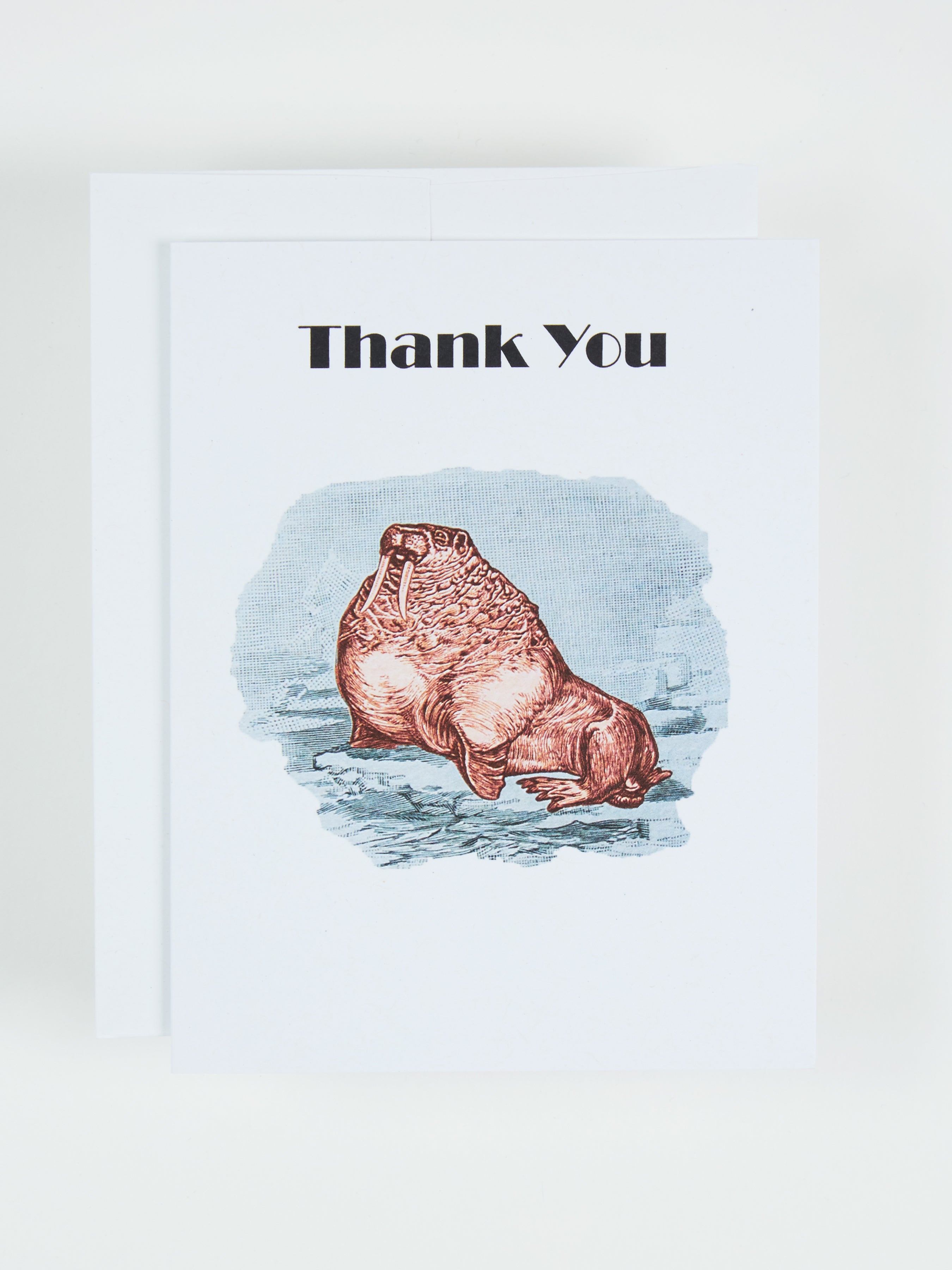 Greeting card with the text Thank You above a regal walrus
