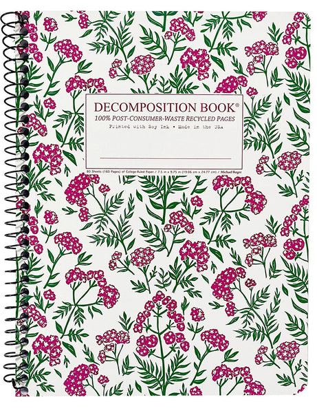 VALERIAN パンフレット Valerian Decomposition Book