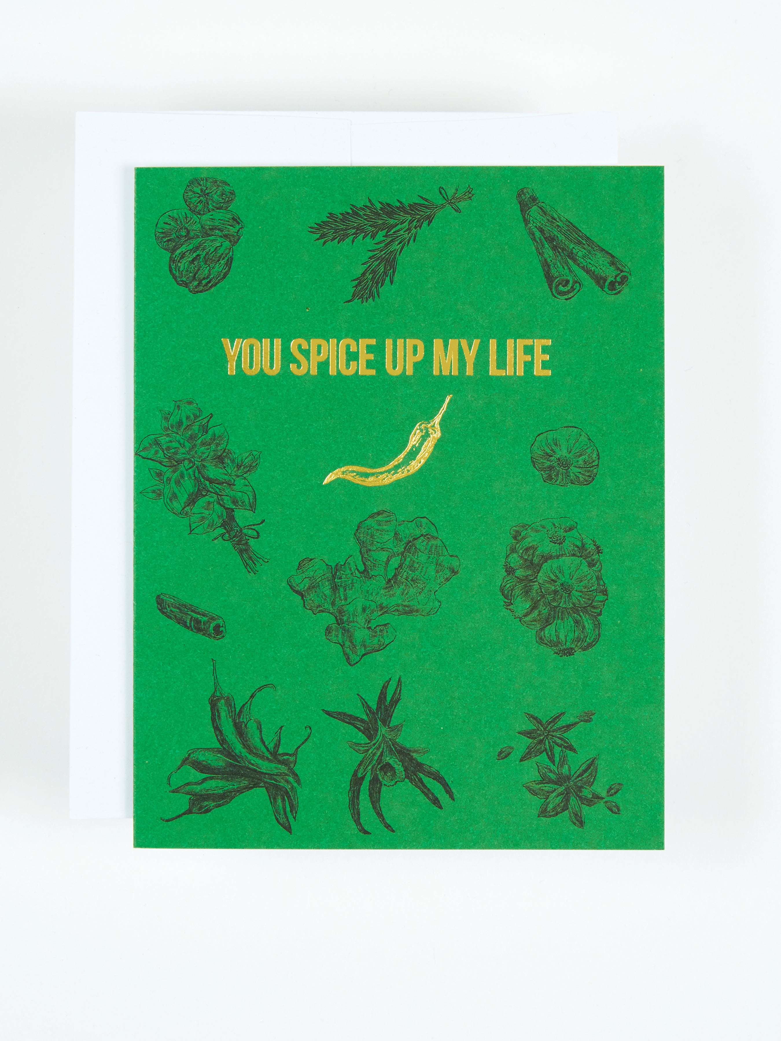Greeting card with the text YOU SPICE UP MY LIFE amid various spices